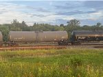 CTCX 732243